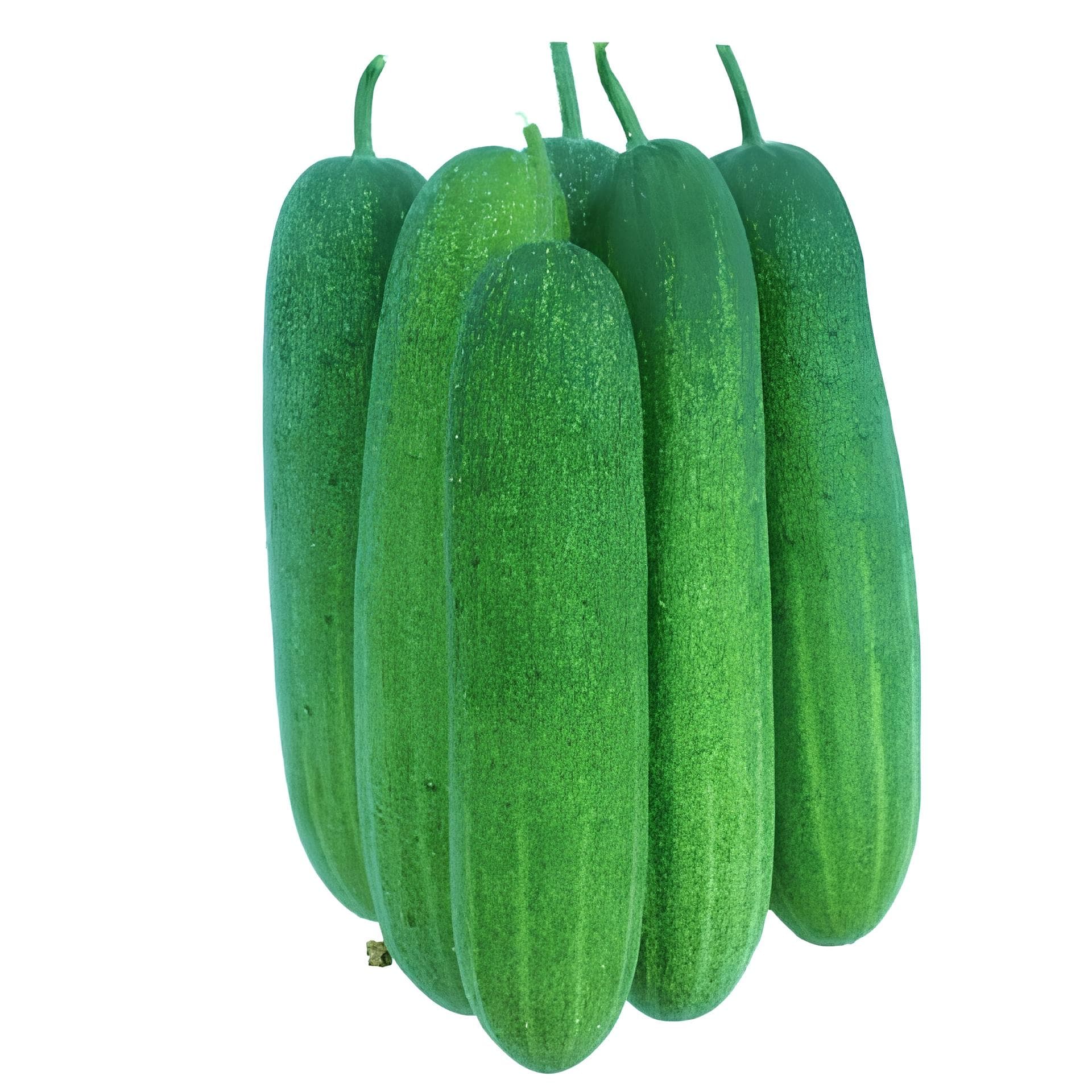 জালি লাউ